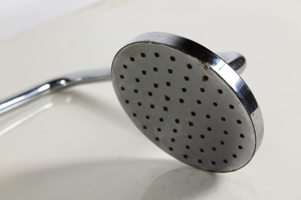 Recycled Shower Heads Renovators Paradise