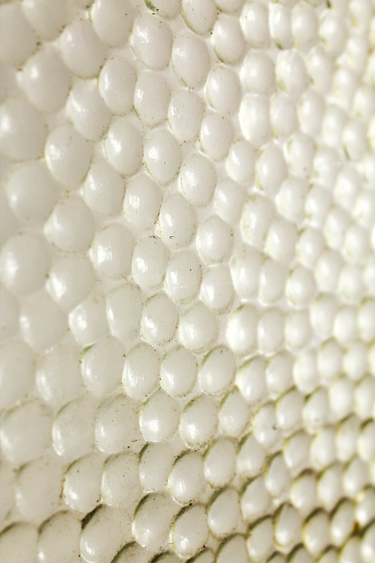 Hammered Glass Single Doors Renovators Paradise