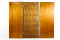 Flush Panel Doors