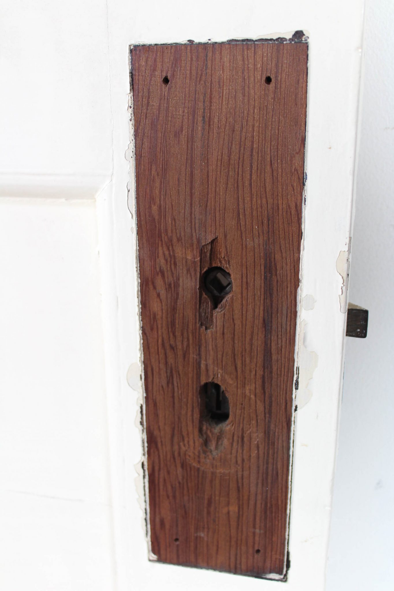 Elwood Four Panel Door Renovators Paradise old doors